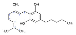 CBG – Ein Phytocannabinoid mit besonderem Potential