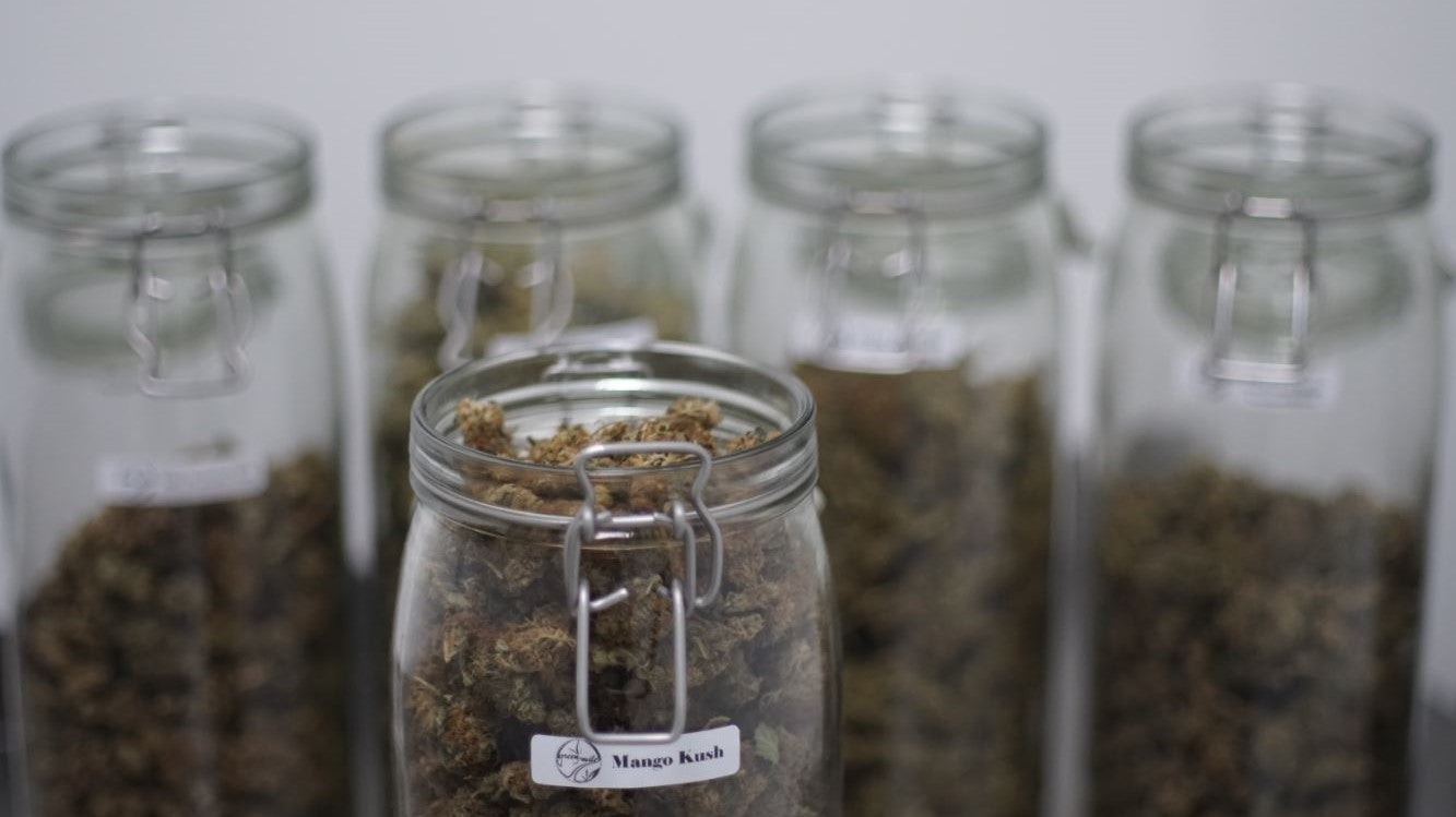 CBD_cannabis_hanf_legalisierung_luxembourg