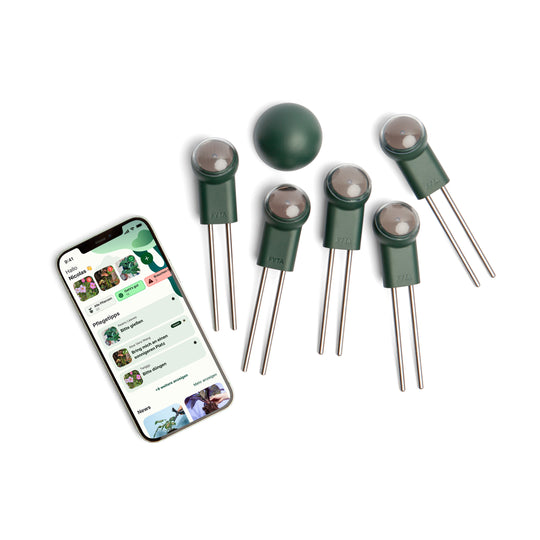 FYTA - Beam 5er Set | inkl Wii Hub und pH-Test-Kit