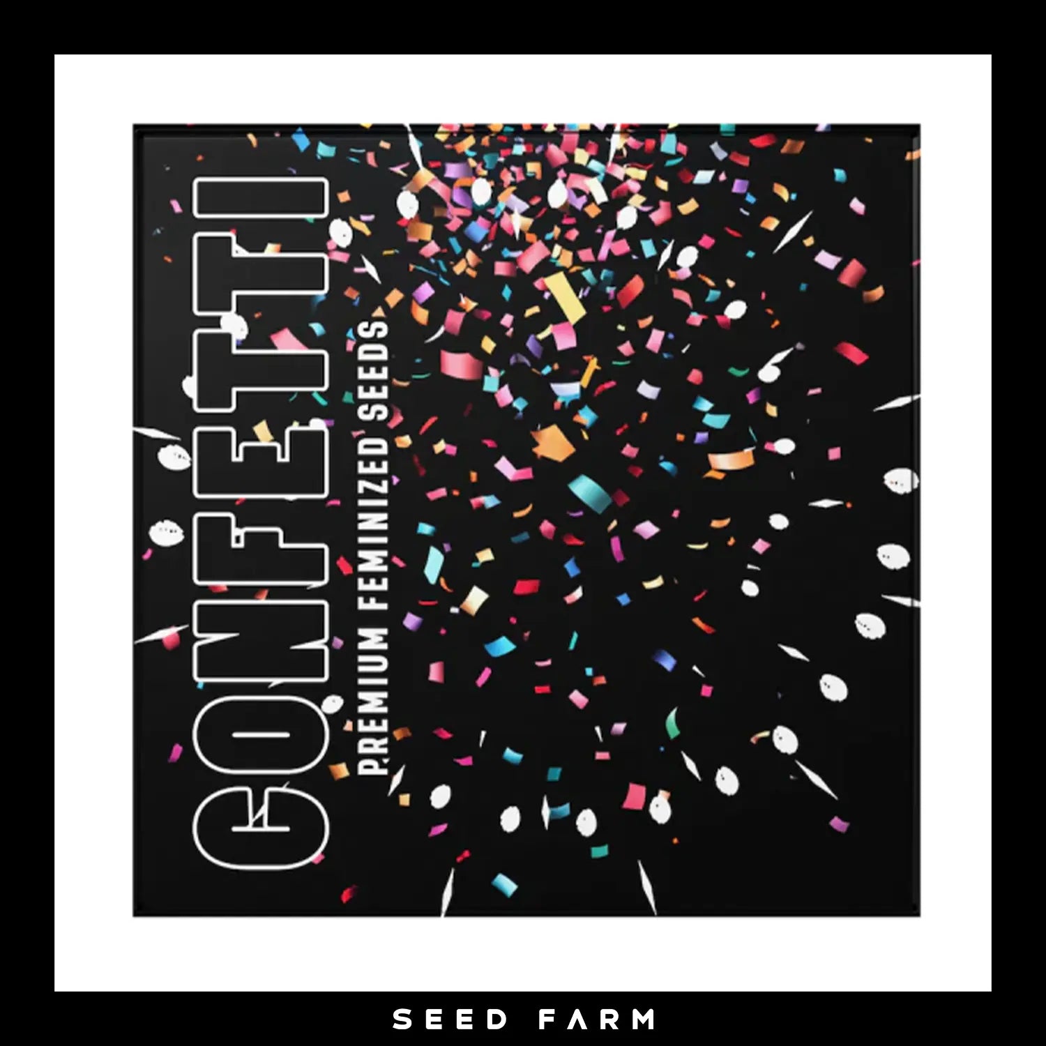 Doja x Duke of Erb, Confetti, feminisierte Cannabis Samen, 6 Stück, Vorderansicht