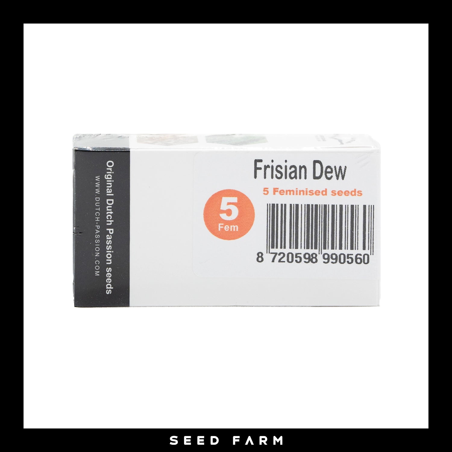 Dutch Passion, Frisian Dew, feminisierte Cannabis Samen, 5 Stück, Vorderansicht