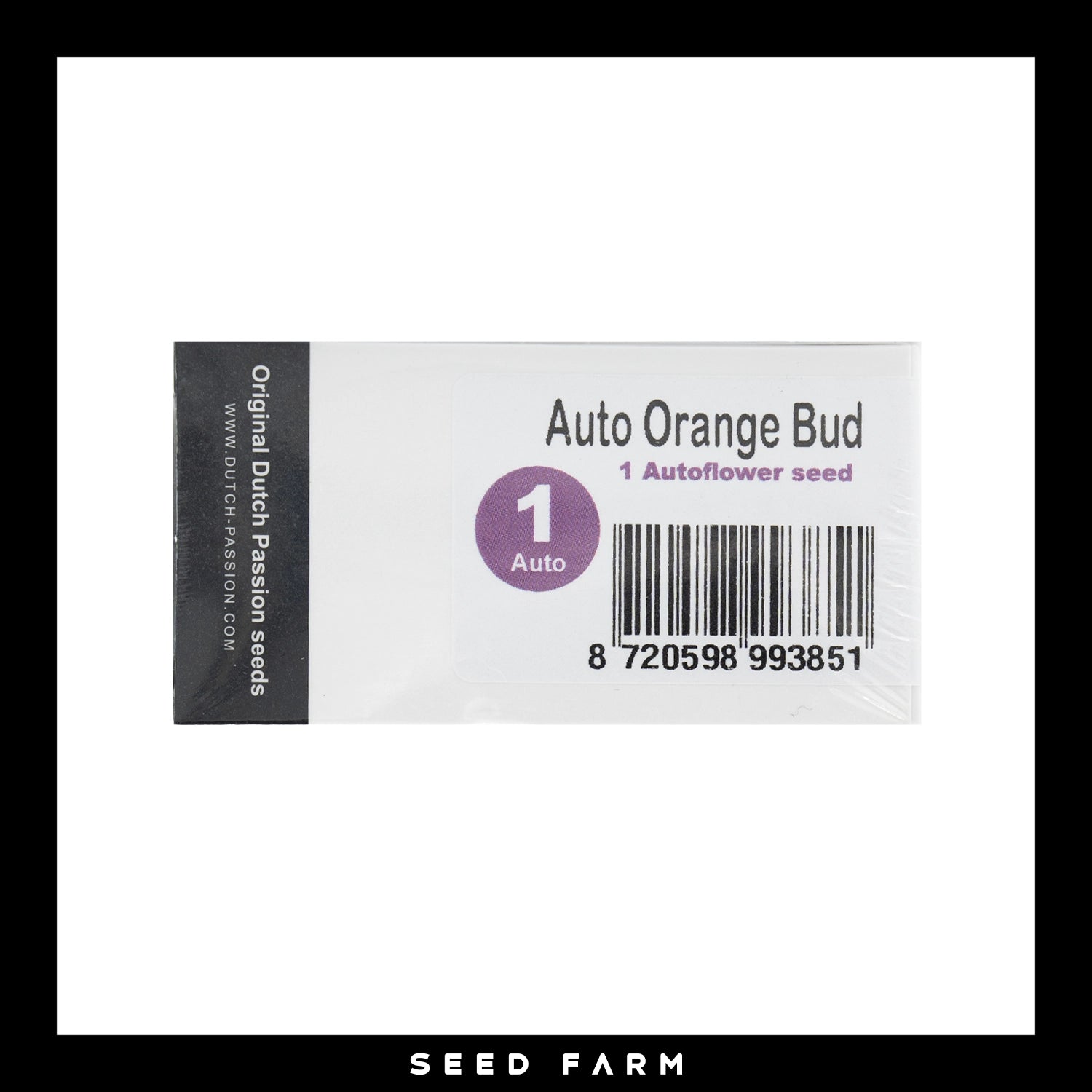 Dutch Passion, Orange Bud, automatische Cannabis Samen, 1 Stück, Vorderansicht