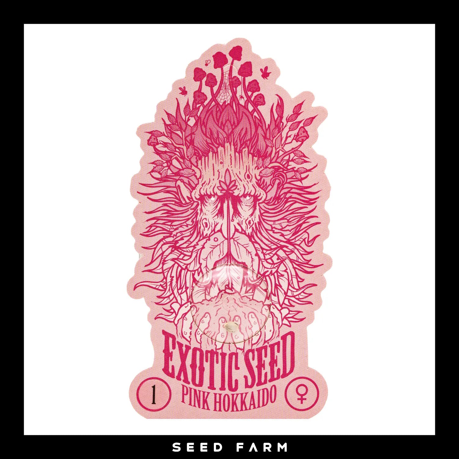 Exotic Seed Pink Hokkaido, feminisierte Cannabis Samen, Vorderansicht