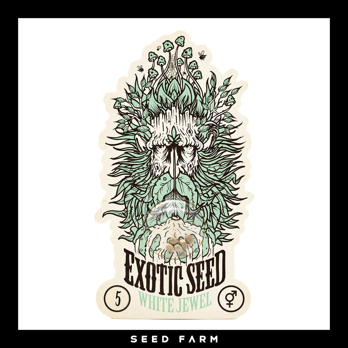 Exotic Seed White Jewel, regular Cannabis Samen, 5 Stück, Vorderansicht