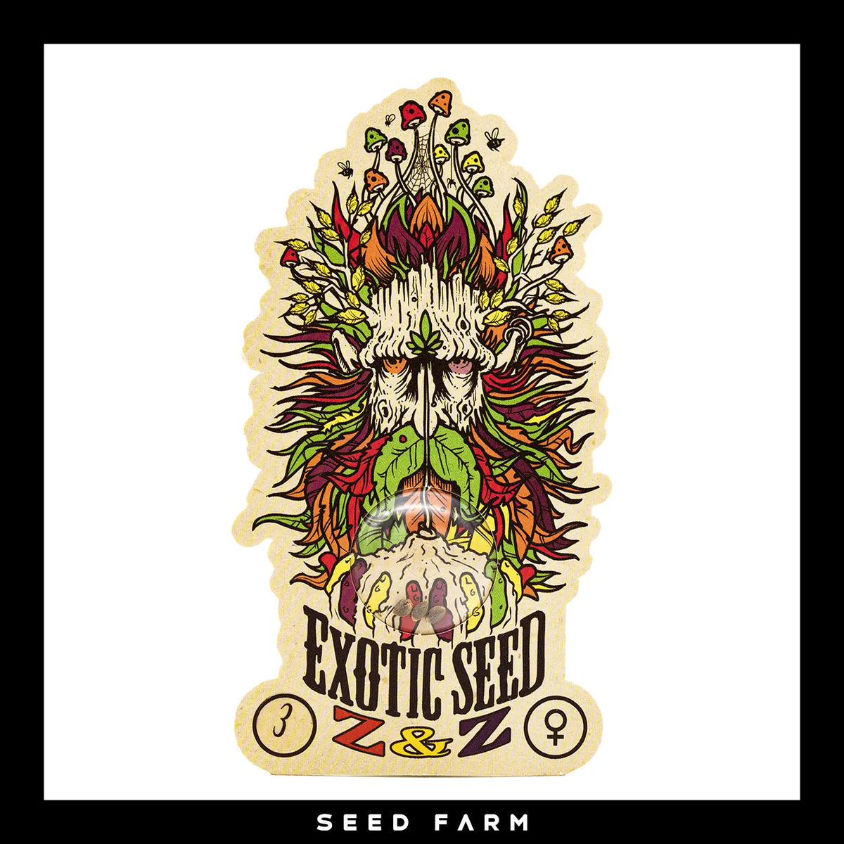 Exotic Seed Z&Z, feminisierte Cannabis Samen, 3 Stück, Vorderansicht