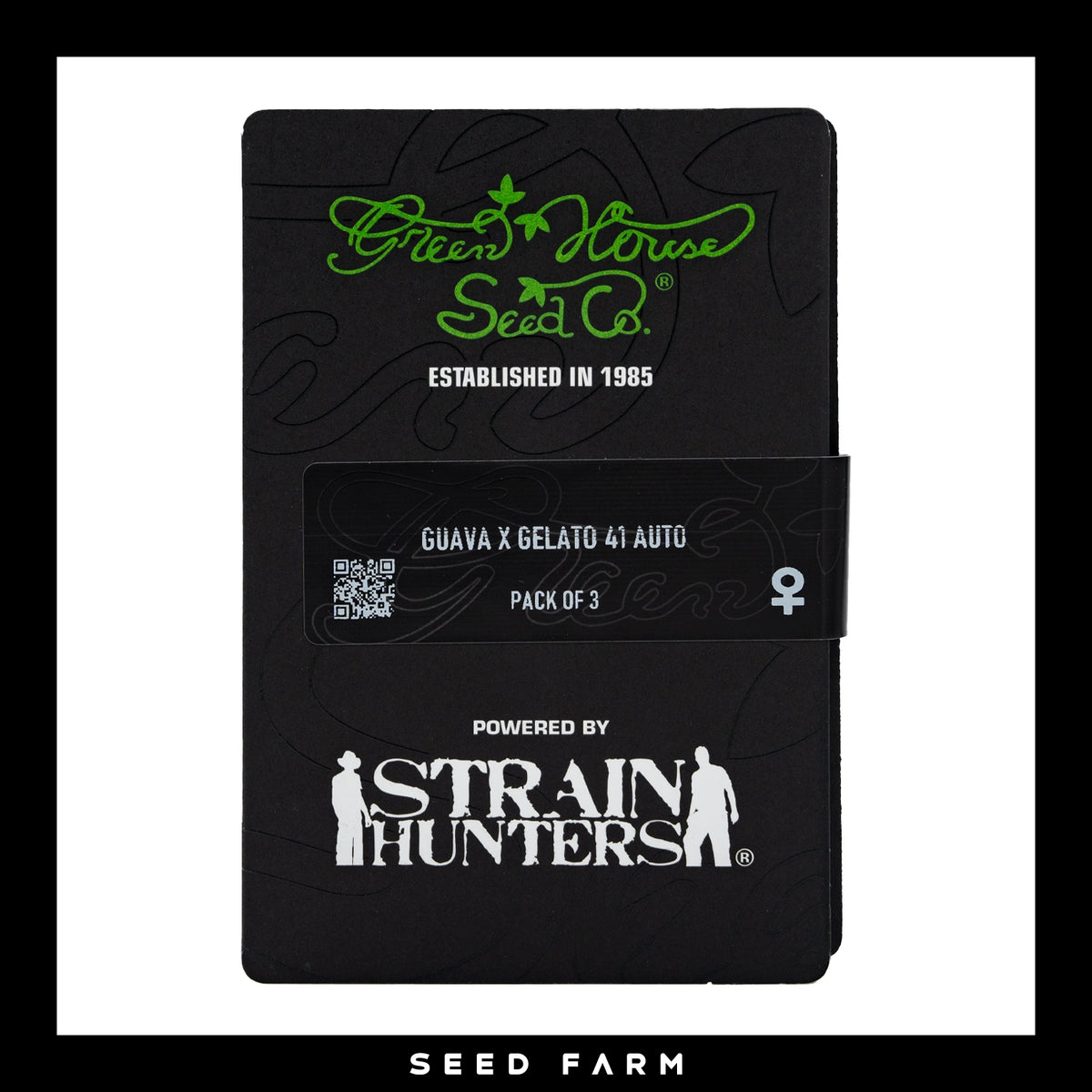 Green House Seed Company, Guava x Gelato 41, automatic Cannabis Samen, Vorderansicht