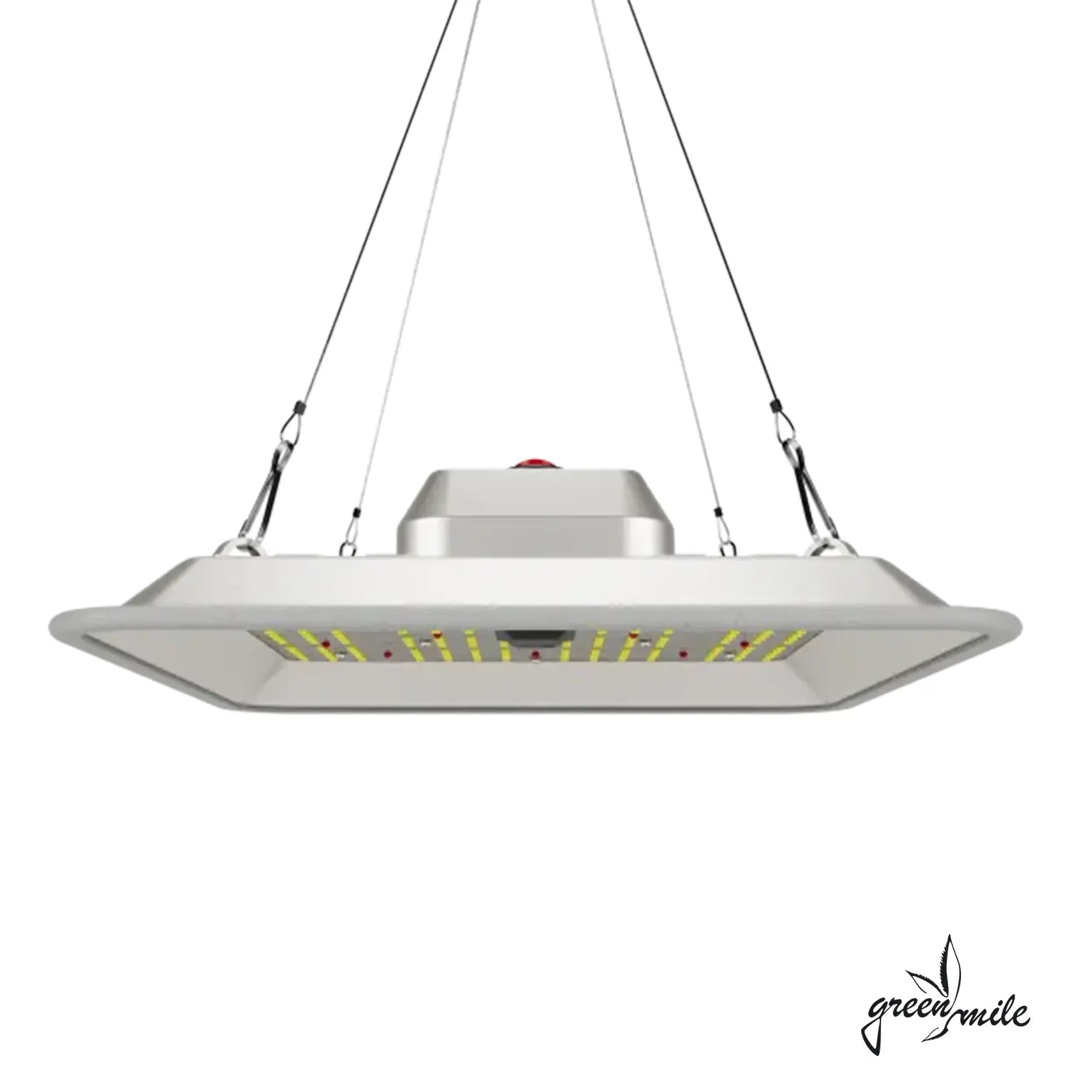 Greenception, GC Pure, 80Watt, Vorderansicht