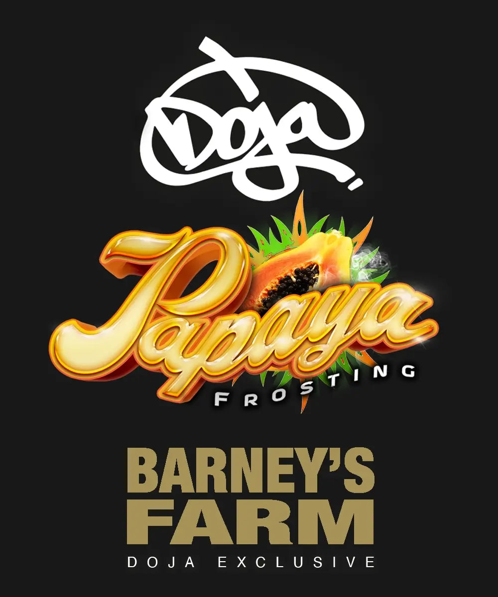 Barney's Farm x Doja - PAPAYA FROSTING - Feminized