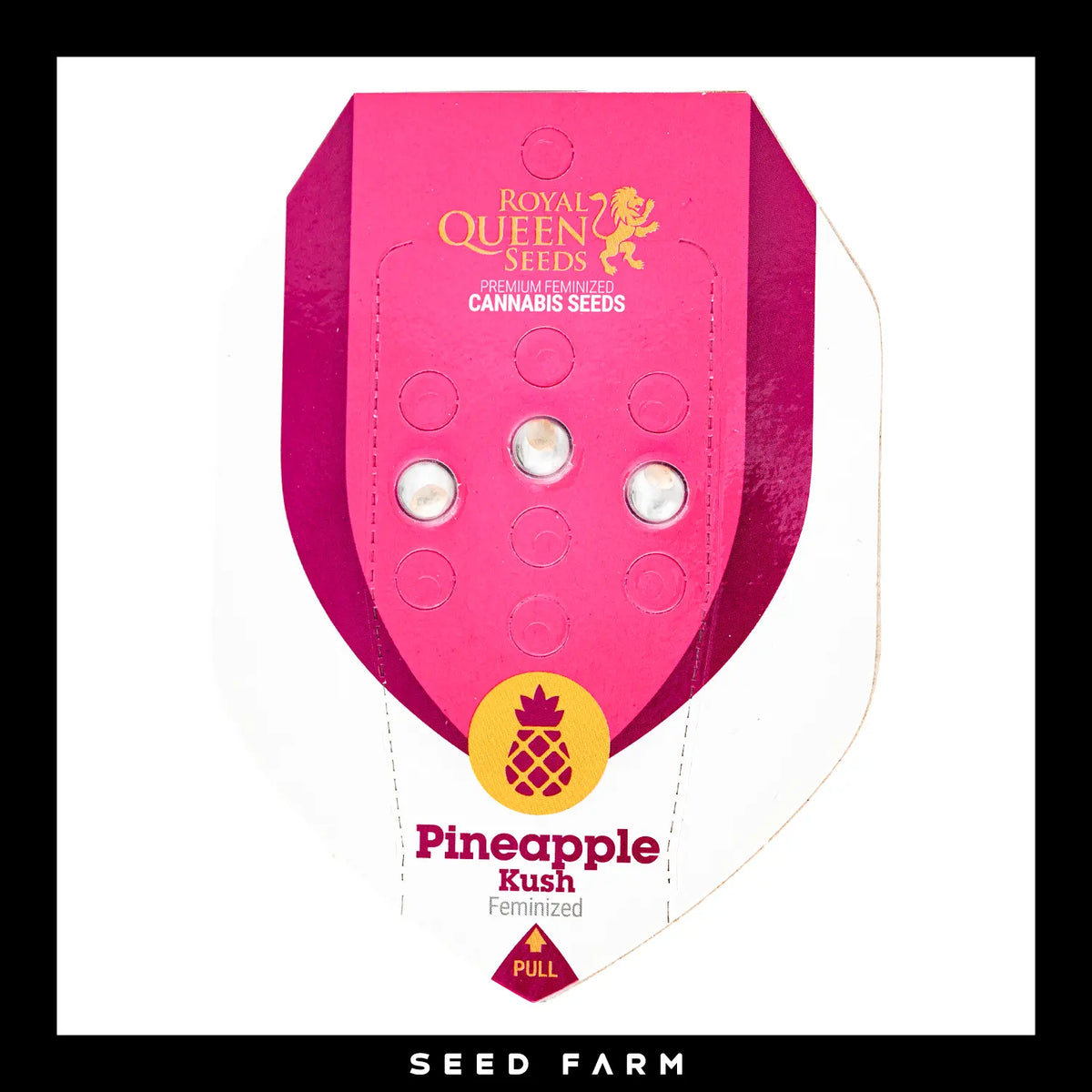 Royal Queen Seeds Pineapple Kush, feminisierte Cannabis Samen, 3 Stück, Vorderansicht
