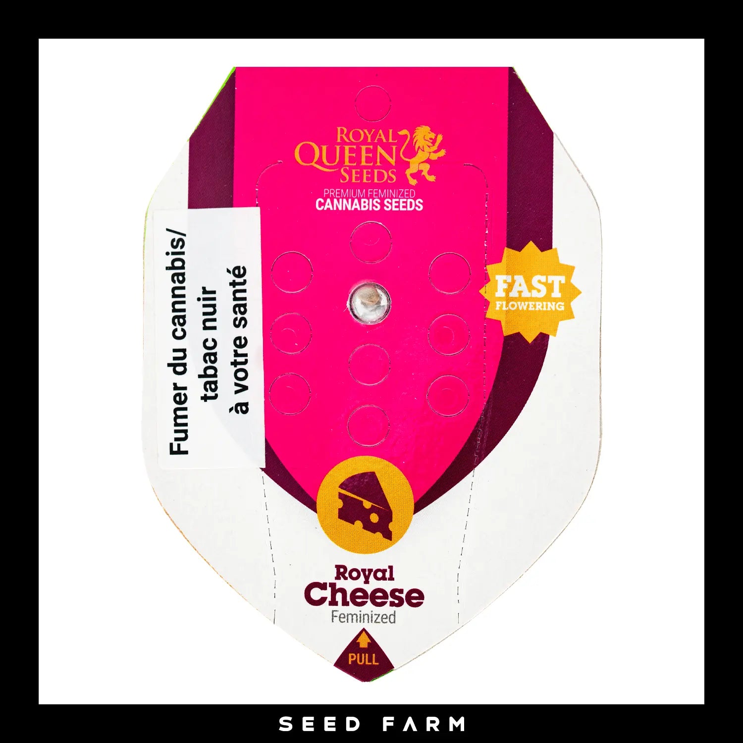 Royal Queen Seeds Royal Cheese, feminisierte Cannabis Samen, 1 Stück, Vorderansicht