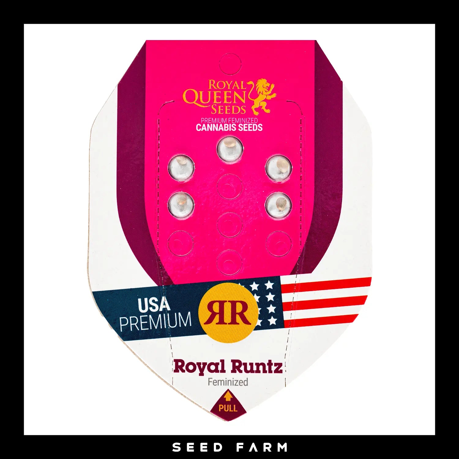 Royal Queen Seeds Royal Runtz, feminisierte Cannabis Samen, 5 Stück, Vorderansicht