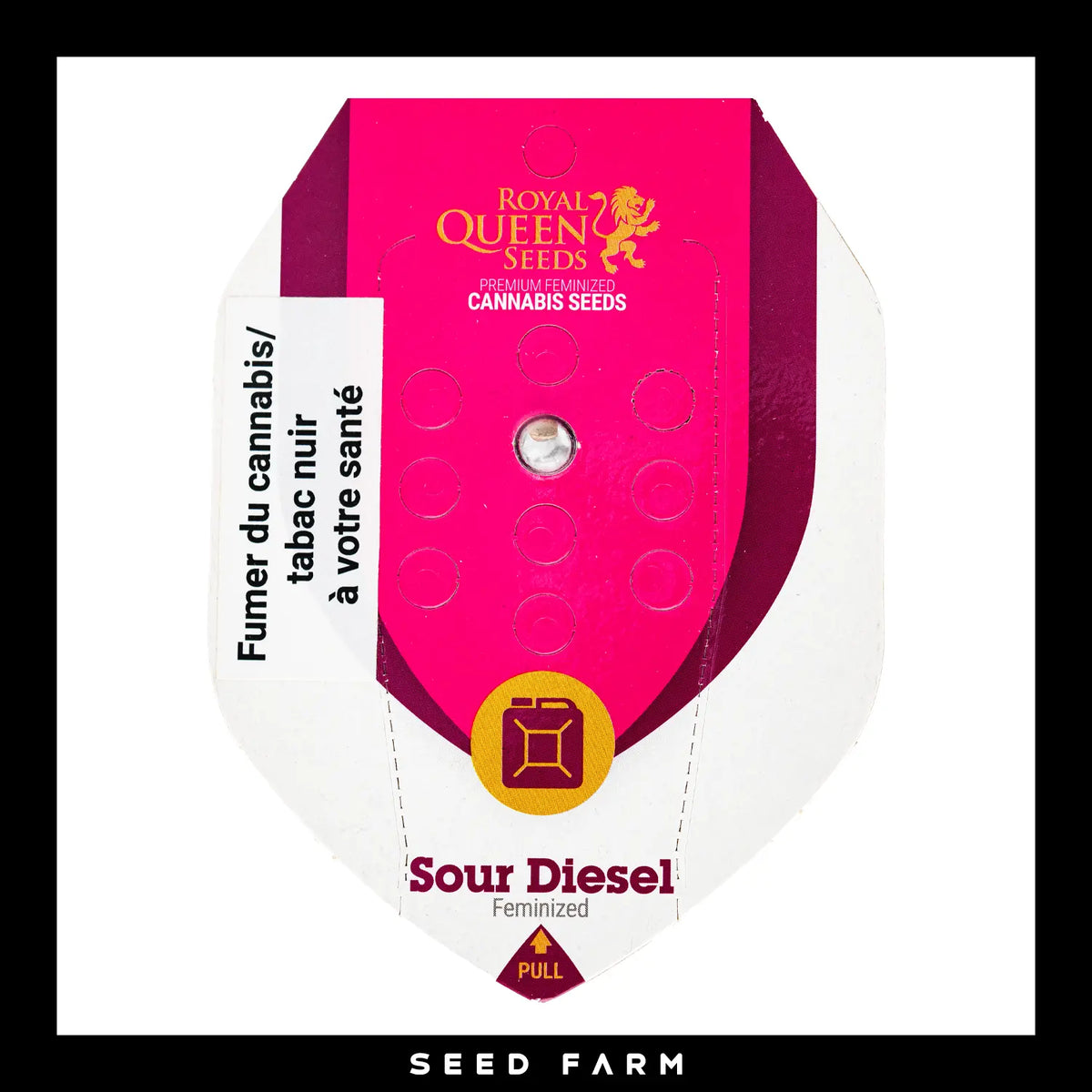 Royal Queen Seeds Sour Diesel, feminisierte Cannabis Samen, 1 Stück, Vorderansicht