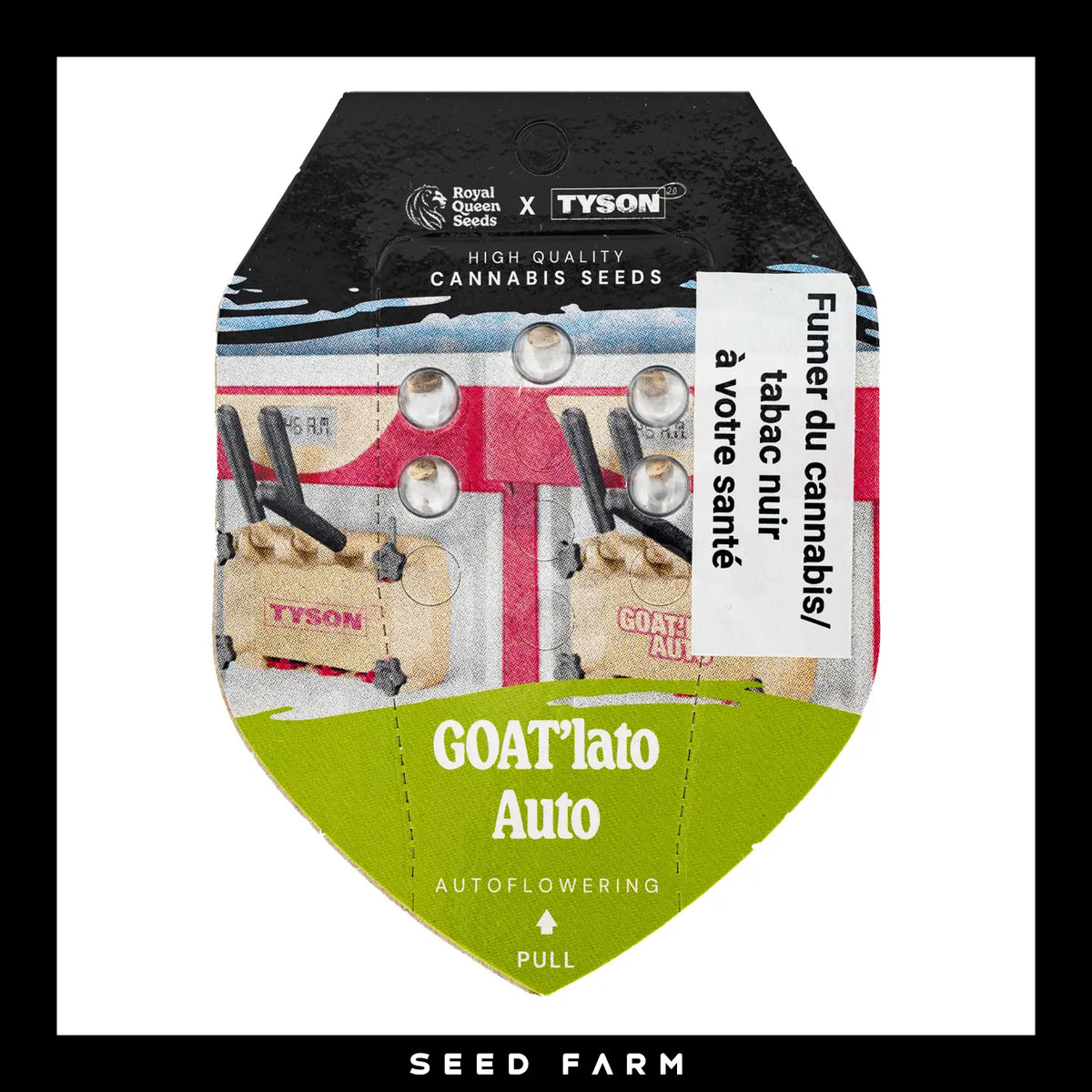 Royal Queen Seeds x Mike Tyson Goatlato, automatic Cannabis Samen, 5 Stück Vorderansicht