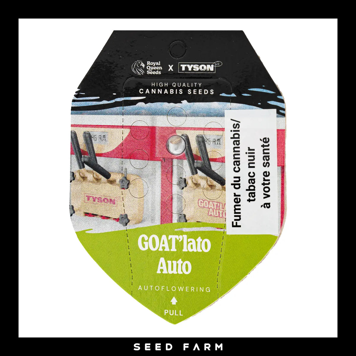 Royal Queen Seeds x Mike Tyson Goatlato, automatic Cannabis Samen, 1 Stück Vorderansicht