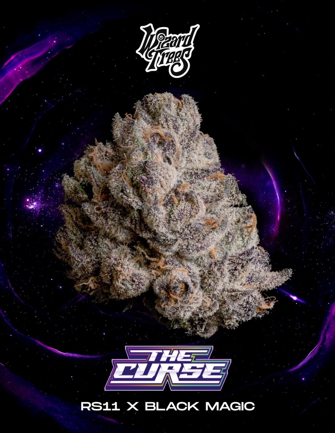 Wizard Trees - THE CURSE - Feminized