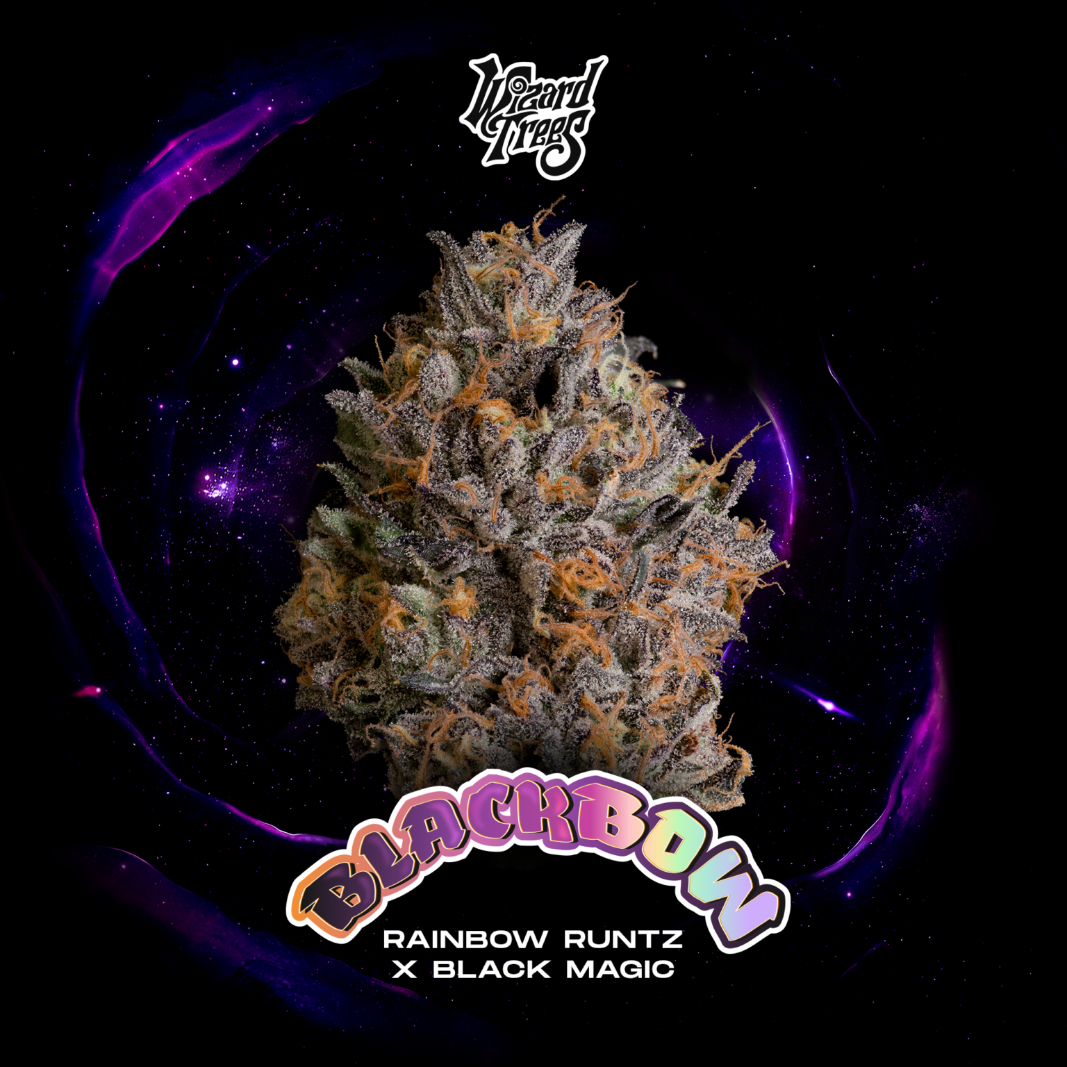 Wizard Trees - BLACK BOW - Feminized