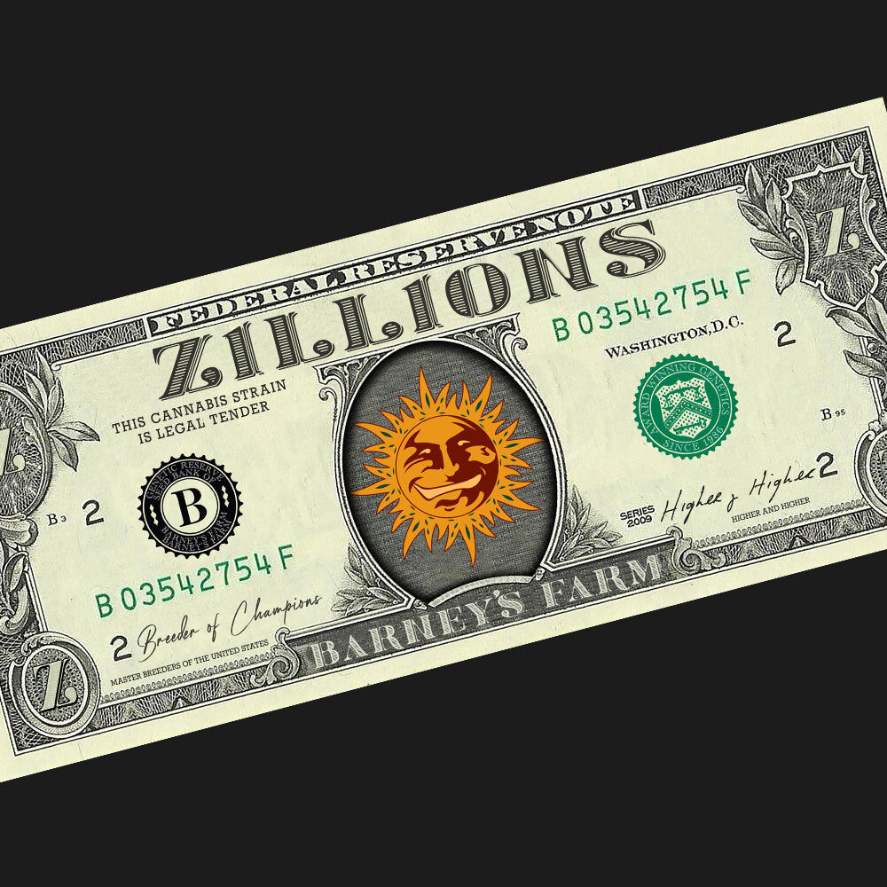 Barney's Farm - ZILLIONS - Feminized - 3 Seeds