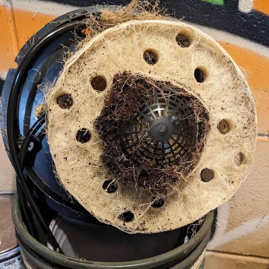 AC Infinity - AI+ Grow Zelt-System GREENMILE PREMIUM Edition | 150x150x200cm | 6 Pflanzen