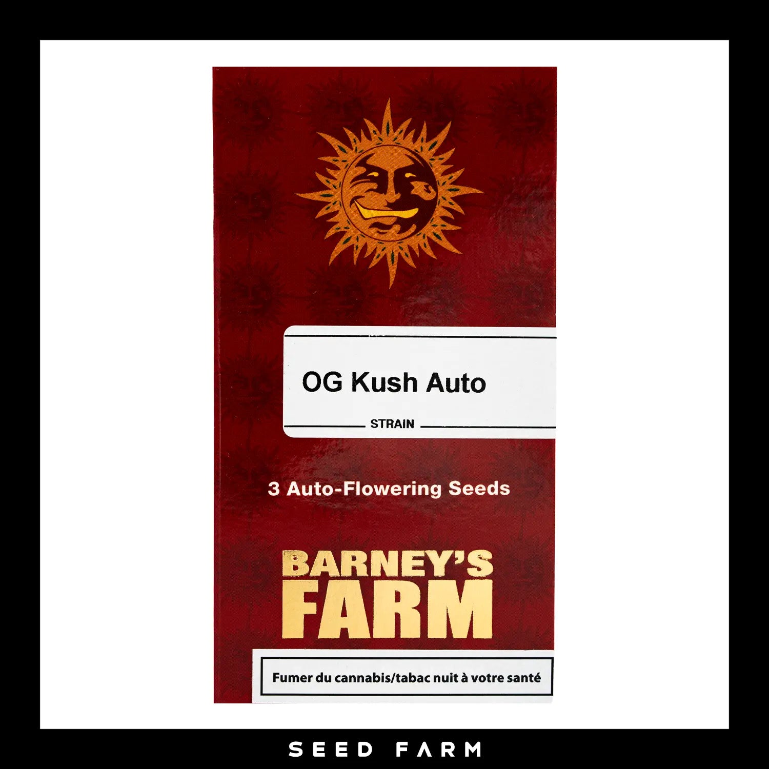 Barneys Farm OG Kush Automatic Cannabis Samen, 3 Stück, Vorderansicht