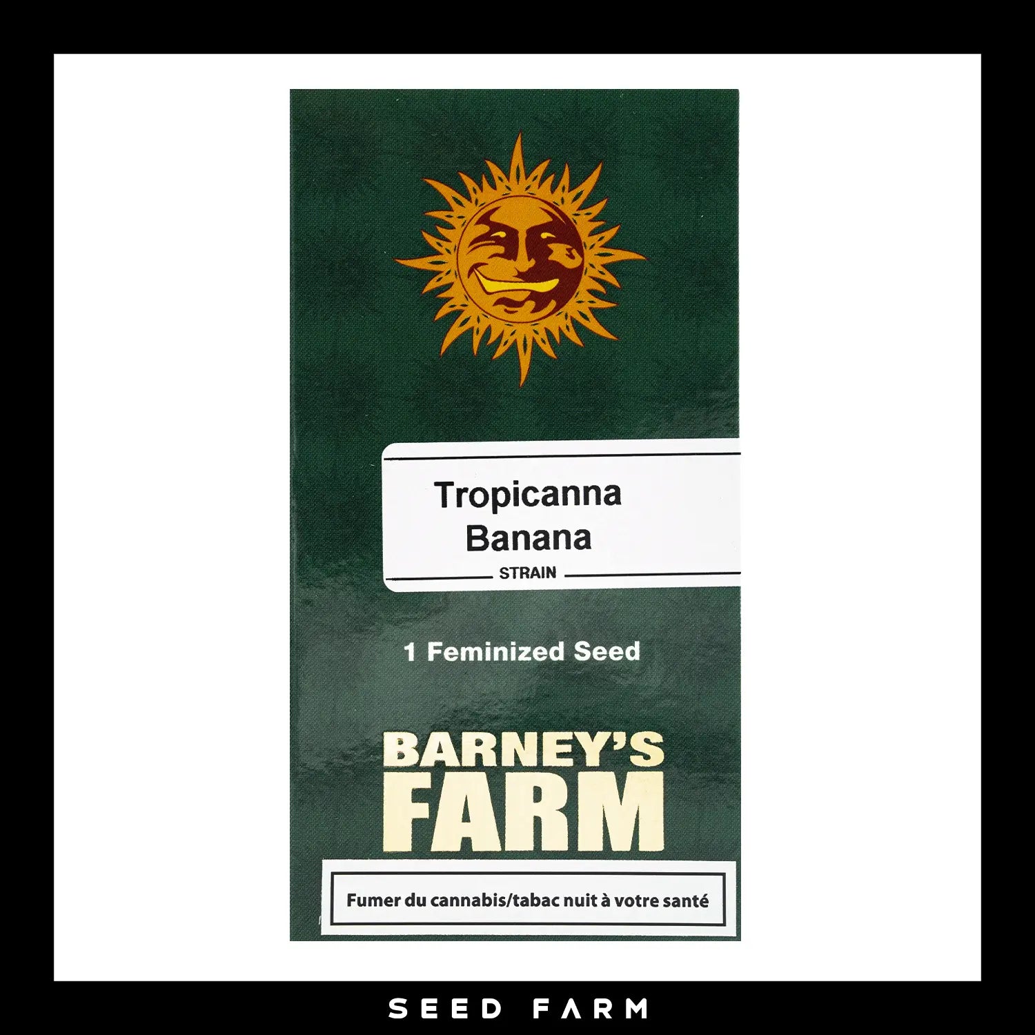 Barneys Farm, Tropicana Banana, feminisierte Cannabis Samen, Vorderansicht