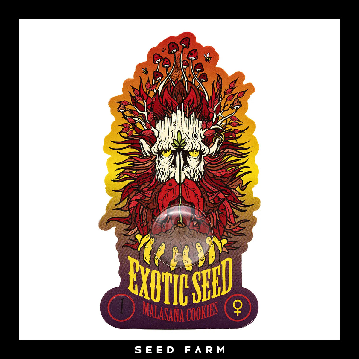 Exotic Seed Malasana Cookies, feminisierte Cannabis Samen, 1 Stück, Vorderansicht