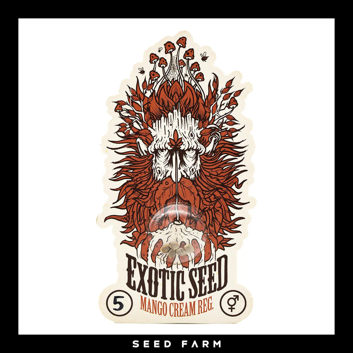 Exotic Seed Mango Cream, regular Cannabis Samen, Vorderansicht