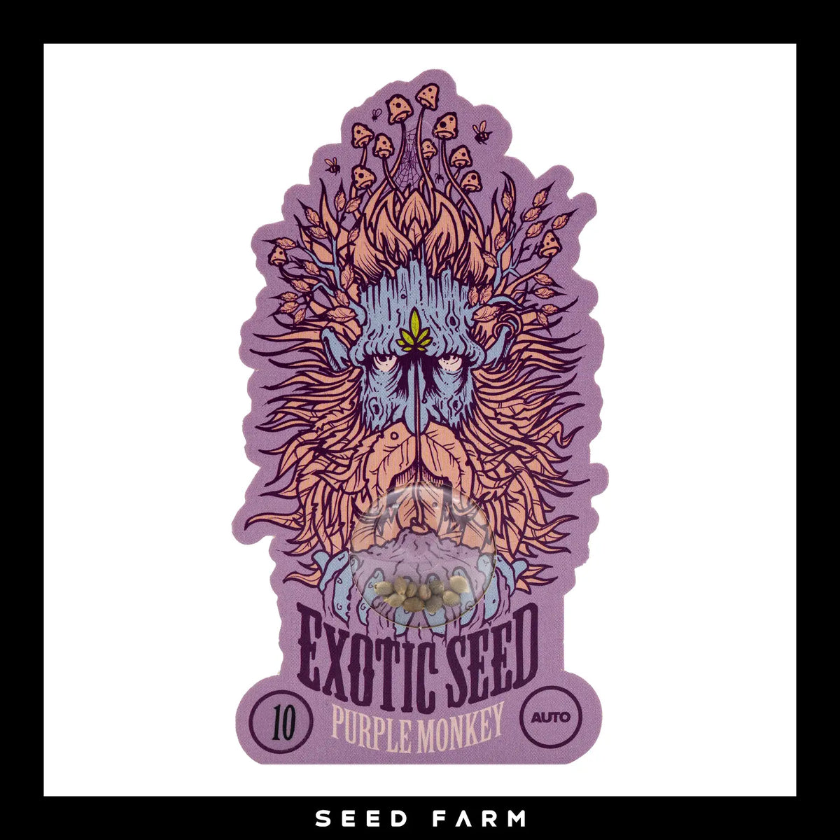 Exotic Seed, Purple Monkey, automatische Cannabis Samen, 10 Stück, Vorderansicht