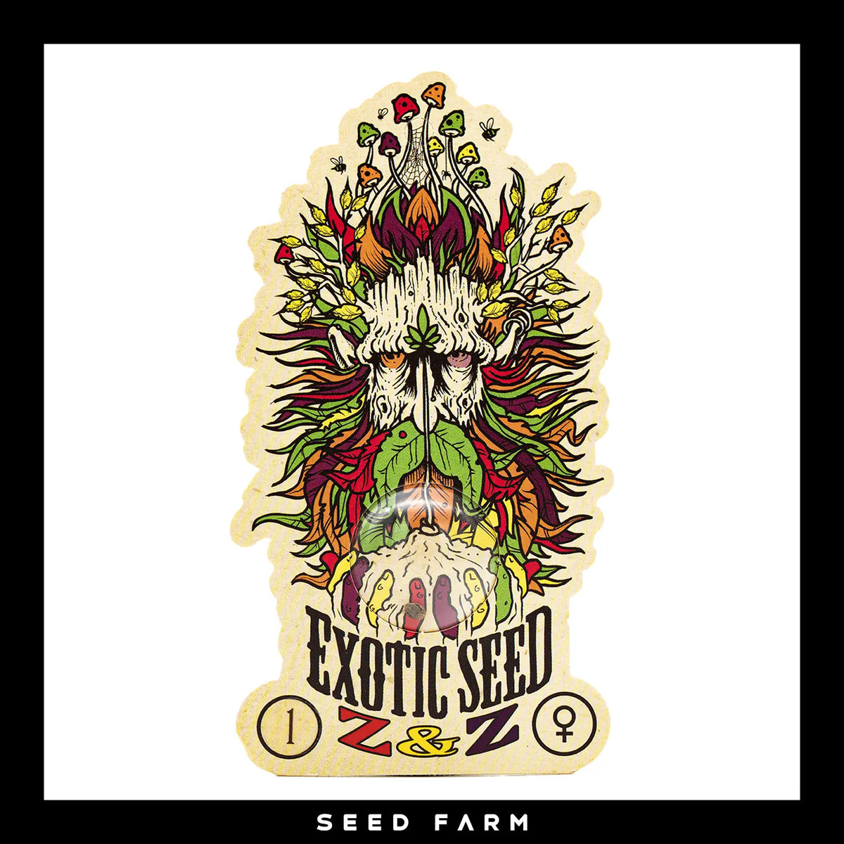 Exotic Seed Z&amp;Z, feminisierte Cannabis Samen, 1 Stück, Vorderansicht