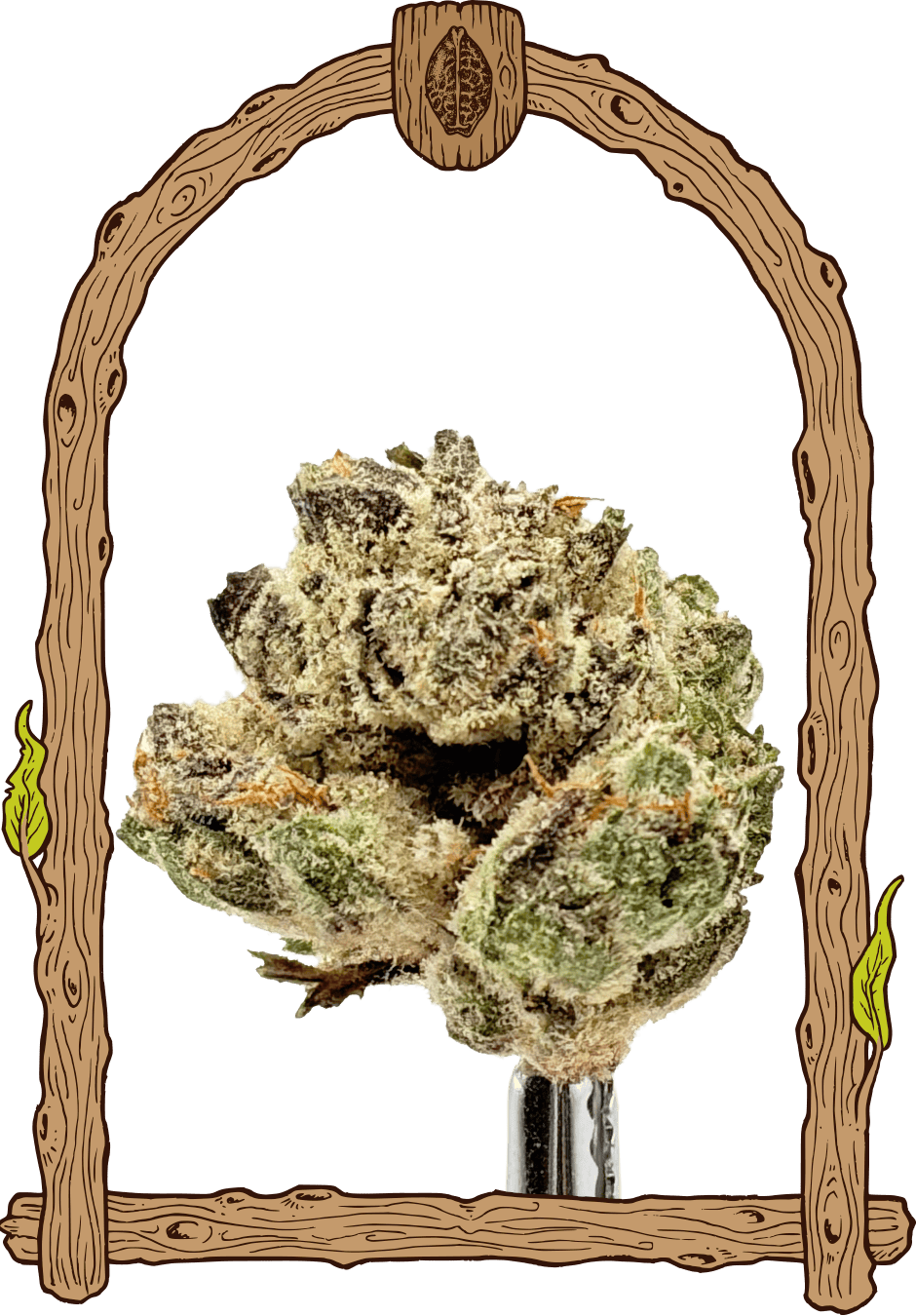 Exotic Seed - EXOTIC RUNTZ - Feminized