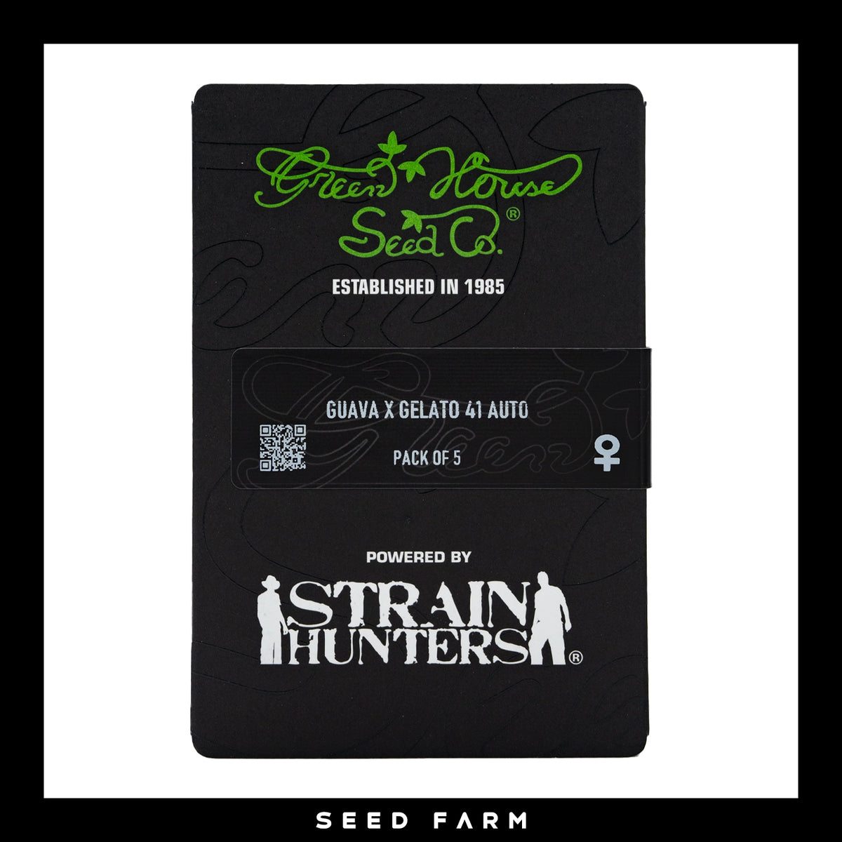 Green House Seed Company, Guava x Gelato 41, automatic Cannabis Samen, 5 Stück, Vorderansicht