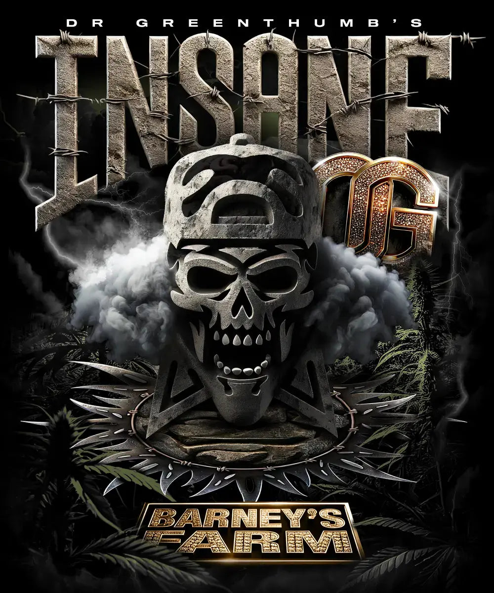 Barney's Farm - Insane OG  - Feminized - 3 Seeds