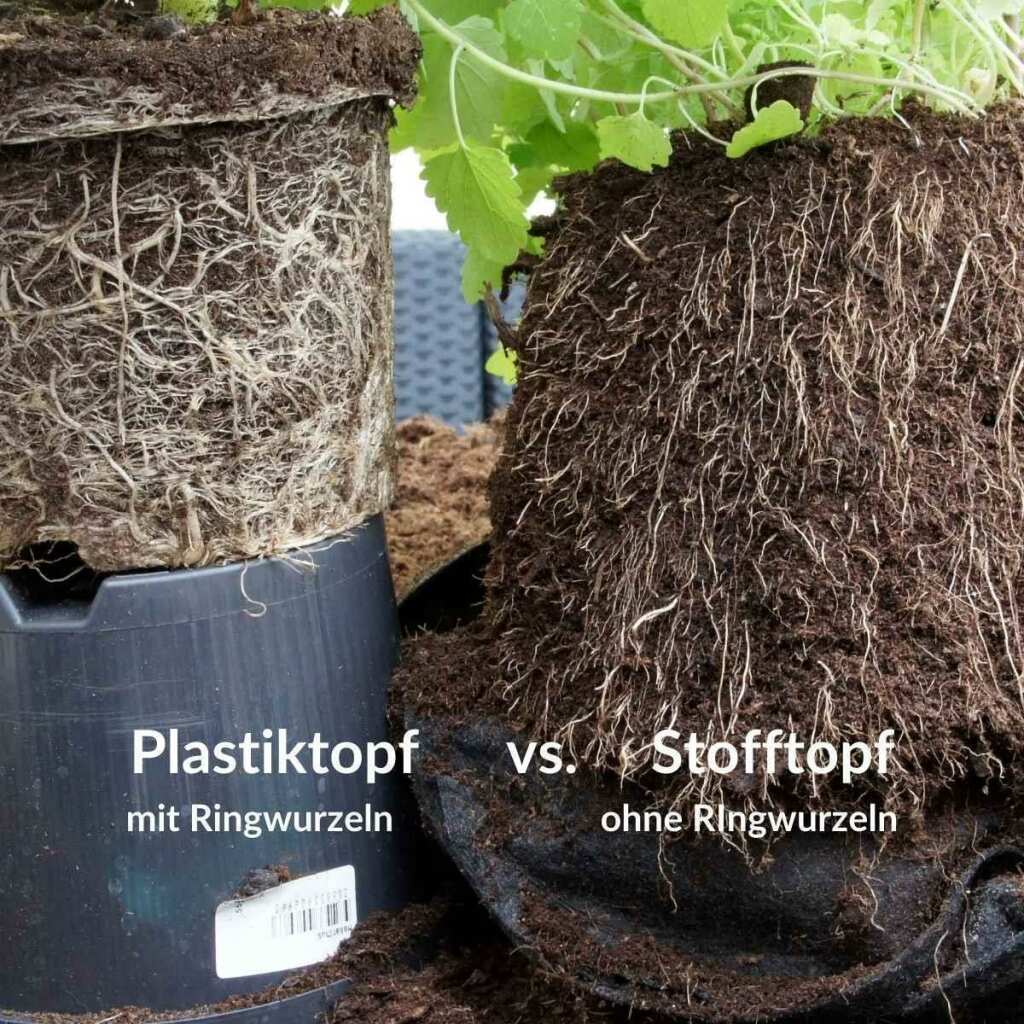 Root Pouch Stofftopf