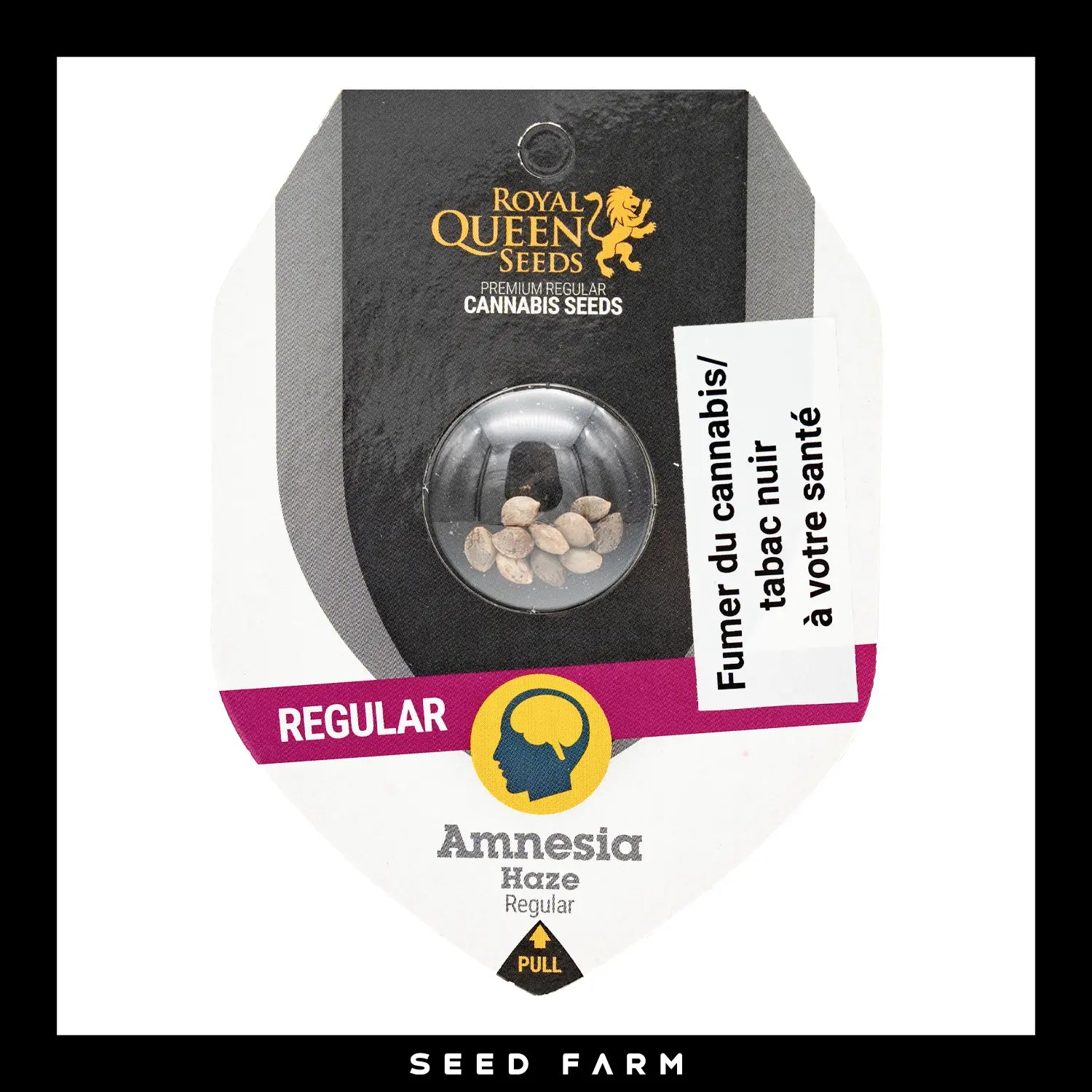 Royal Queen Seeds, Amnesia Haze, reguläre Cannabis Samen, Vorderansicht