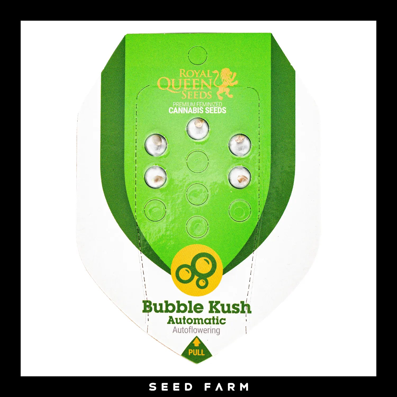 Royal Queen Seeds Bubble Kush, automatic Cannabis Samen, 5 Stück, Vorderansicht