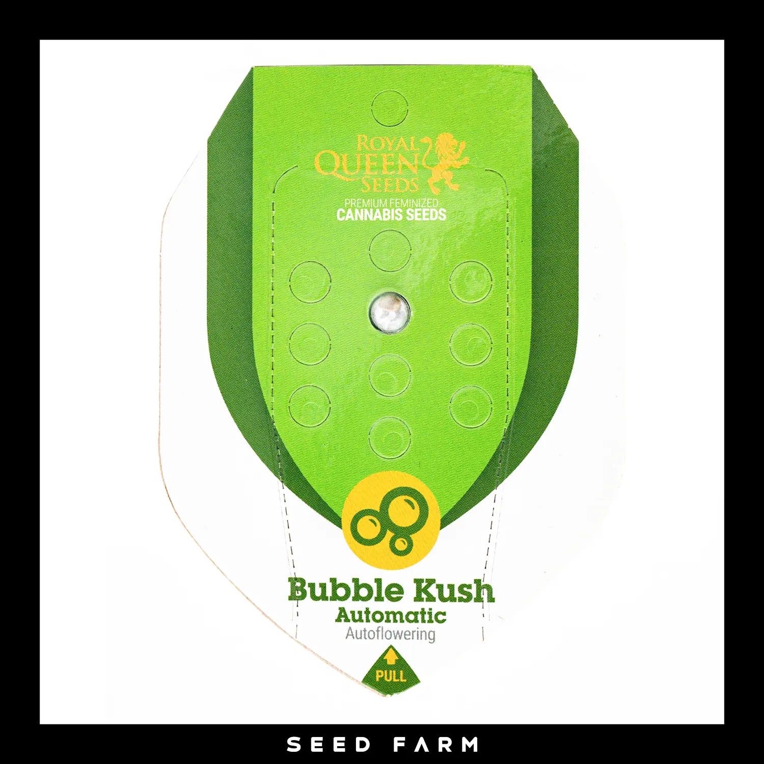 Royal Queen Seeds Bubble Kush, automatic Cannabis Samen, 1 Stück, Vorderansicht