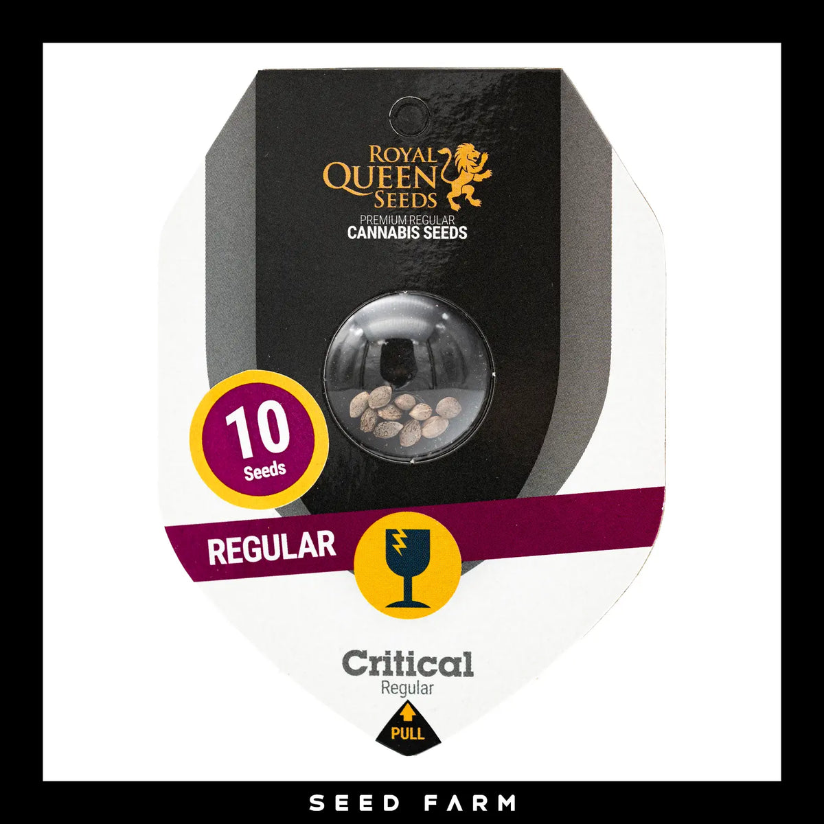 Royal Queen Seeds - CRITICAL - Regular