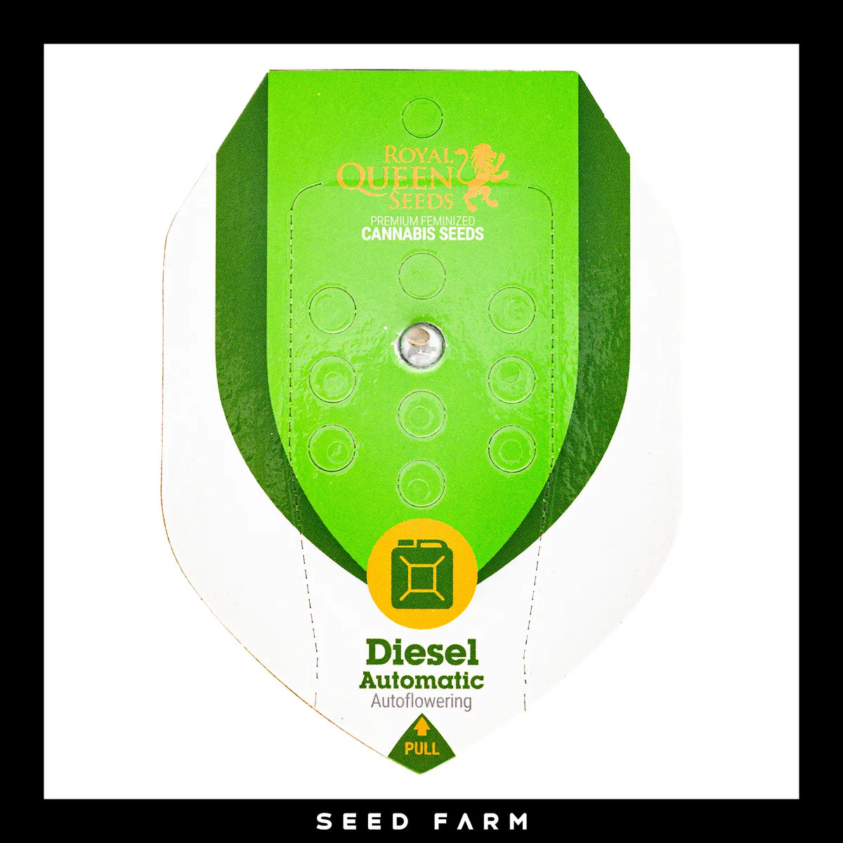 Royal Queen Seeds Diesel, automatic Cannabis Samen, Vorderansicht