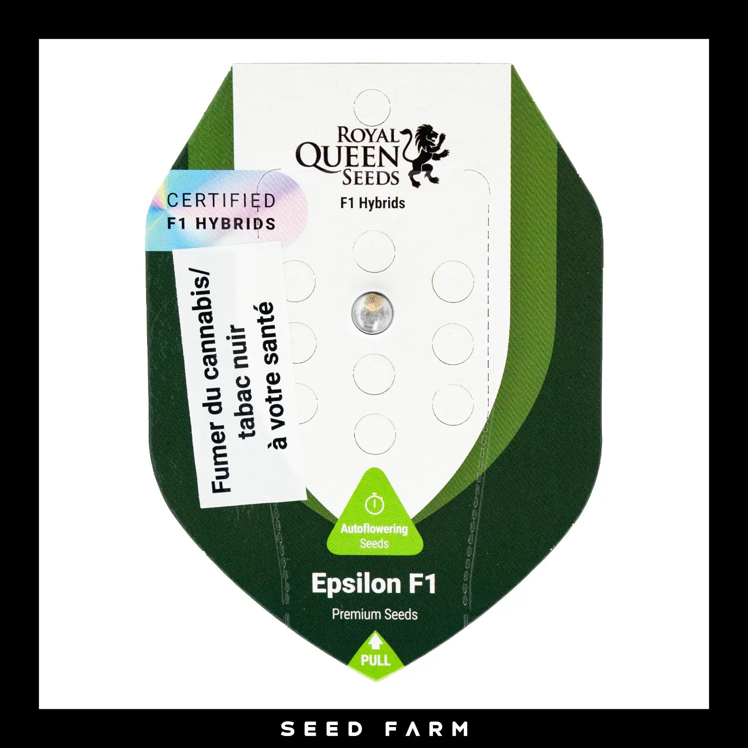 Royal Queen Seeds, Epsilon F1, automatische Cannabis Samen, 1 Stück, Vorderansicht