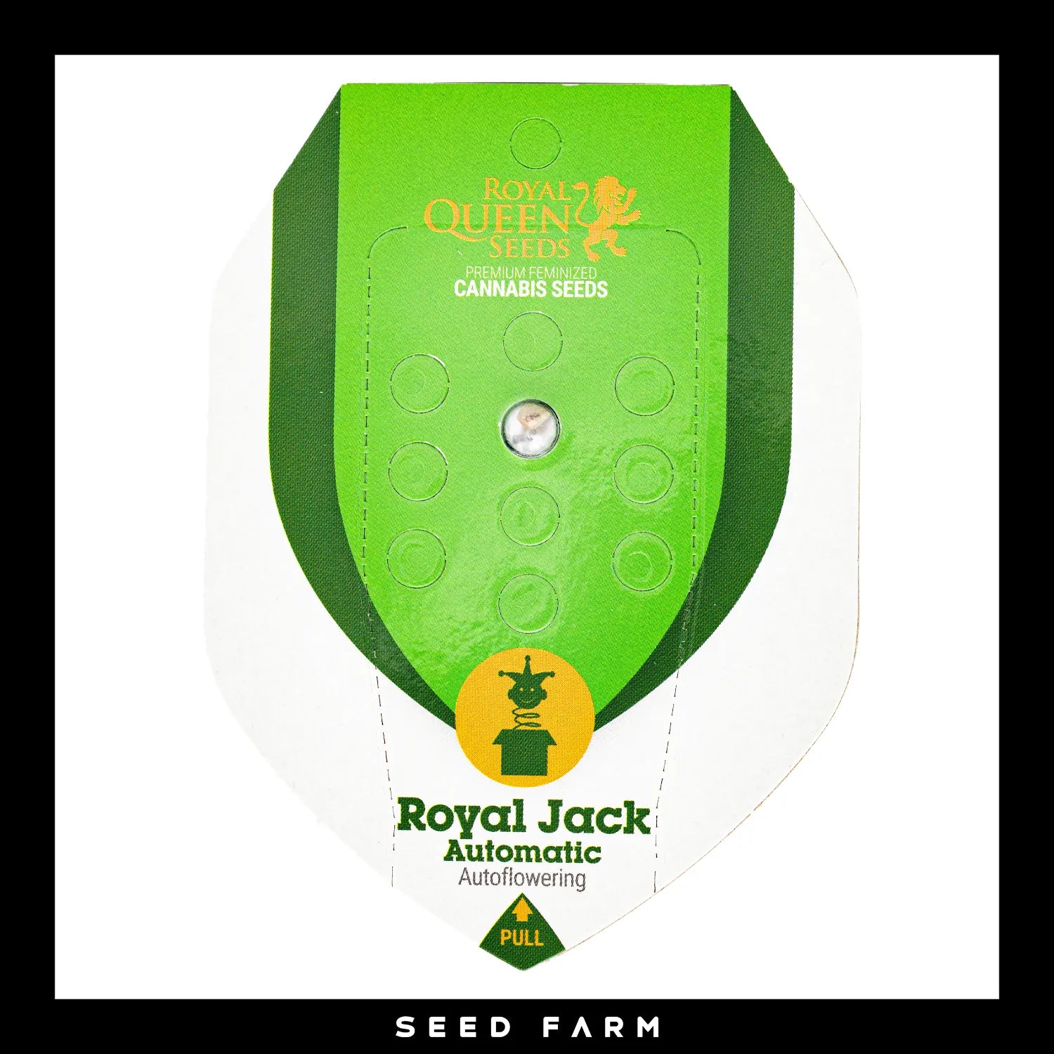 Royal Queen Seeds Royal Jack, automatic Cannabis Samen, 1 Stück, Vorderansicht