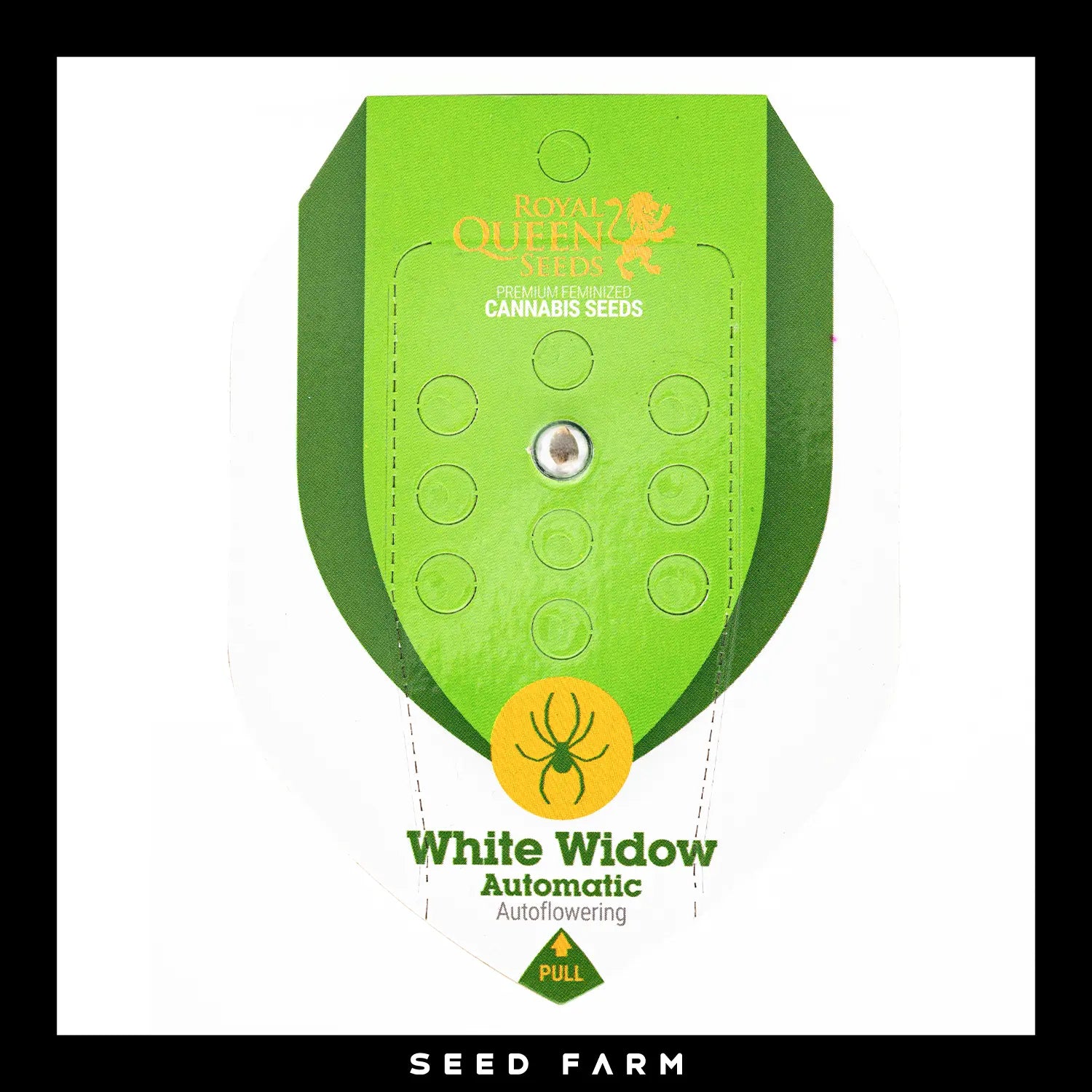 Royal Queen Seeds White Widow, automatic Cannabis Samen, 1 Stück, Vorderansicht