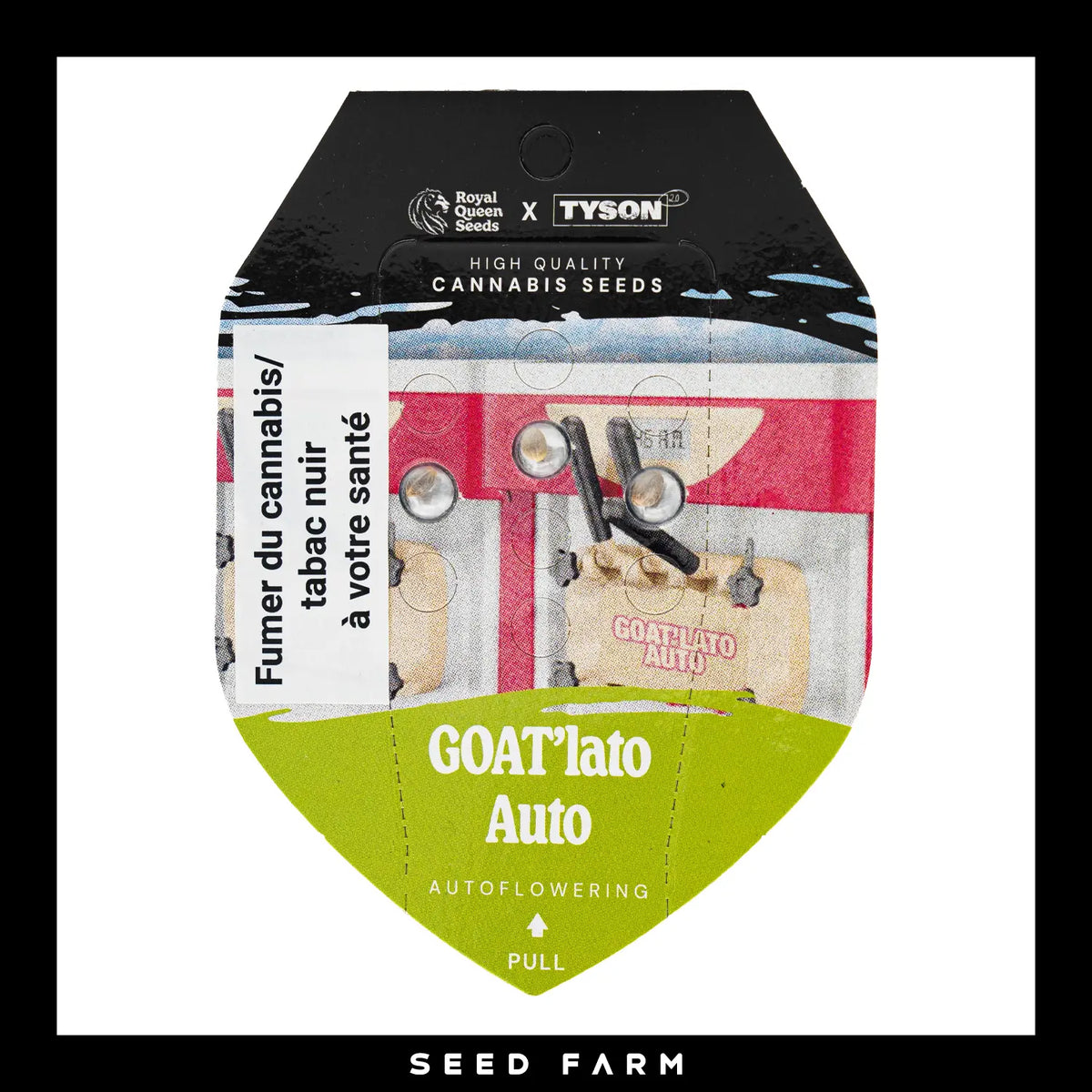 Royal Queen Seeds x Mike Tyson Goatlato, automatic Cannabis Samen, 3 Stück Vorderansicht