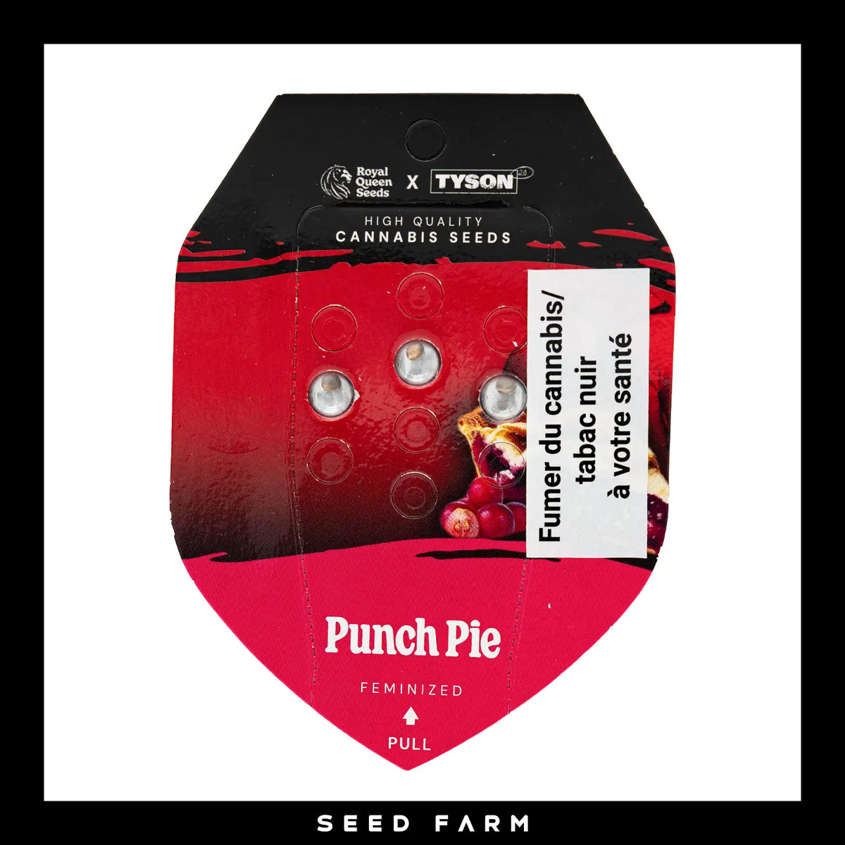 Royal Queen Seeds x Mike TysonPunch Pie, feminisierte Cannabis Samen, 3 Stück, Vorderansicht