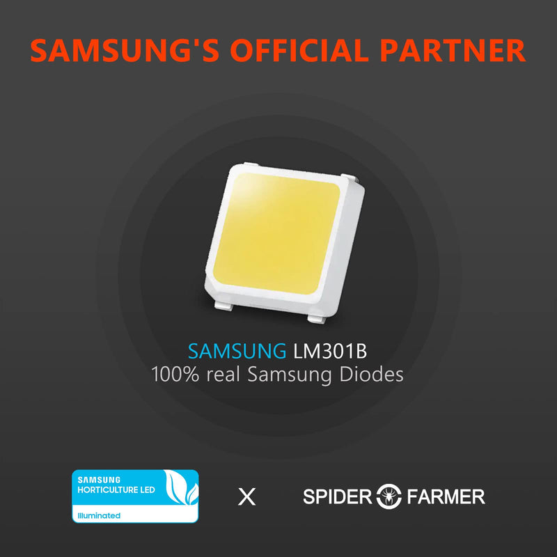SF-2000 Full Spectrum LED Grow Light mit Samsung LM301B Dioden