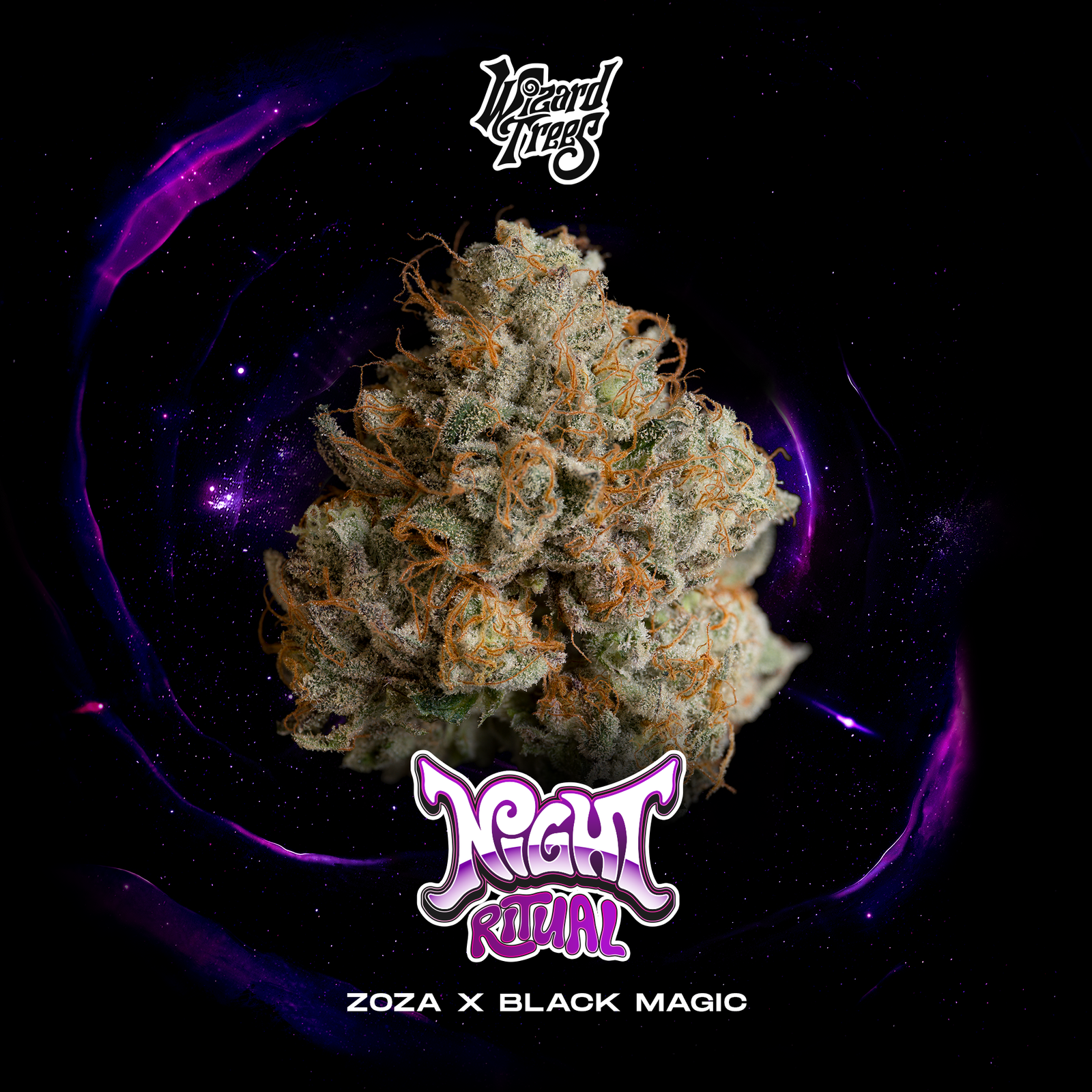 Wizard Trees - NIGHT RITUAL - Feminized