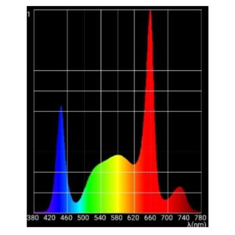 SANLight Q6W 2.1 GEN2 LED Modul 245W